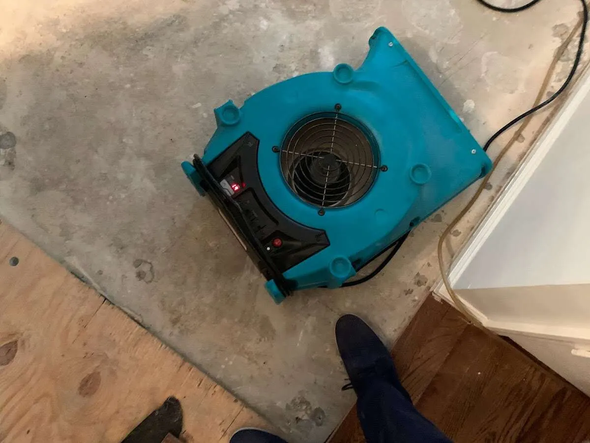 Air mover drying subfloor during Leak Detection & Repair in Halfway